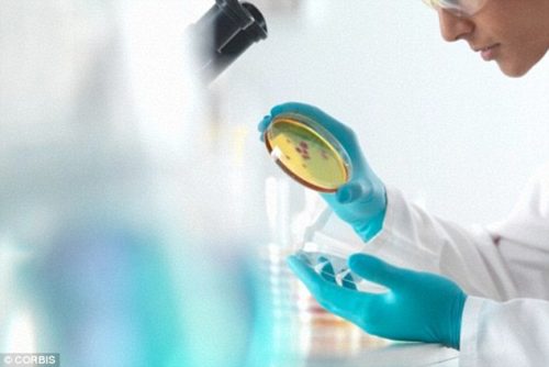 La biotech Enyo Pharma rassemble 40 M€ pour soigner les troubles hépatiques